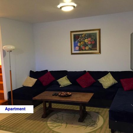 Le Green Chalet Villard-sur-Boege Екстер'єр фото