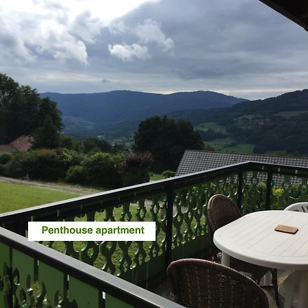 Le Green Chalet Villard-sur-Boege Екстер'єр фото