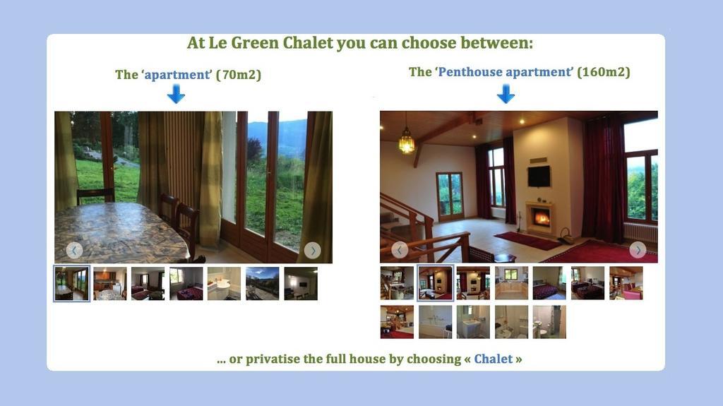 Le Green Chalet Villard-sur-Boege Екстер'єр фото