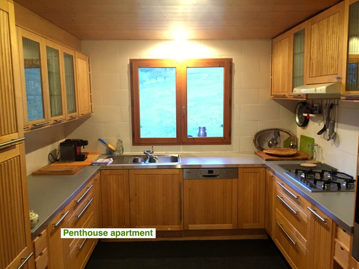Le Green Chalet Villard-sur-Boege Екстер'єр фото