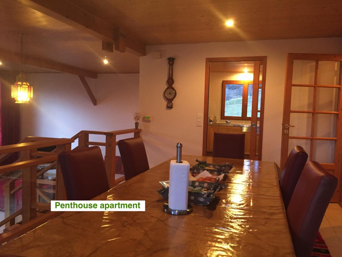 Le Green Chalet Villard-sur-Boege Екстер'єр фото