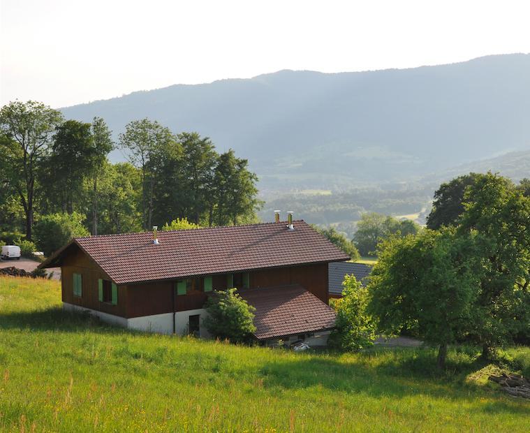 Le Green Chalet Villard-sur-Boege Екстер'єр фото