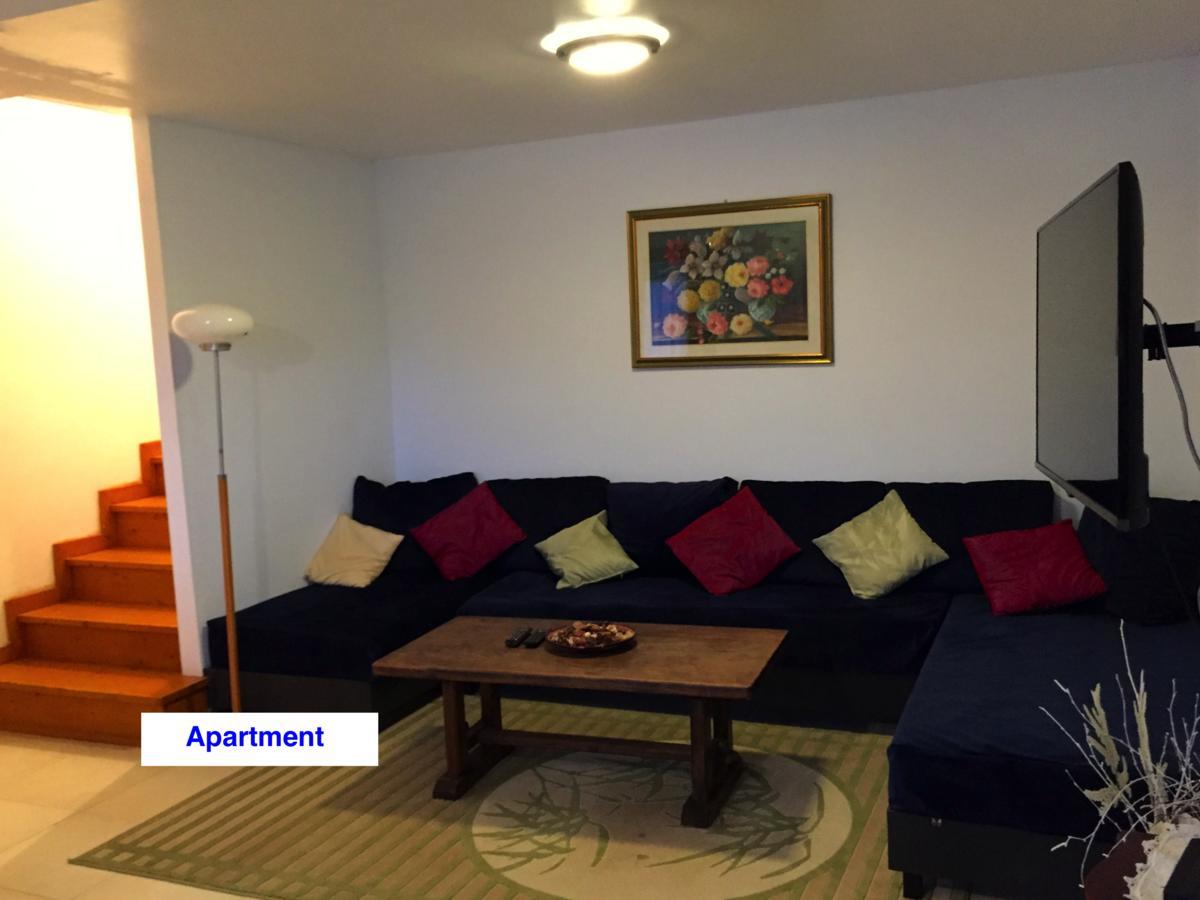 Le Green Chalet Villard-sur-Boege Екстер'єр фото