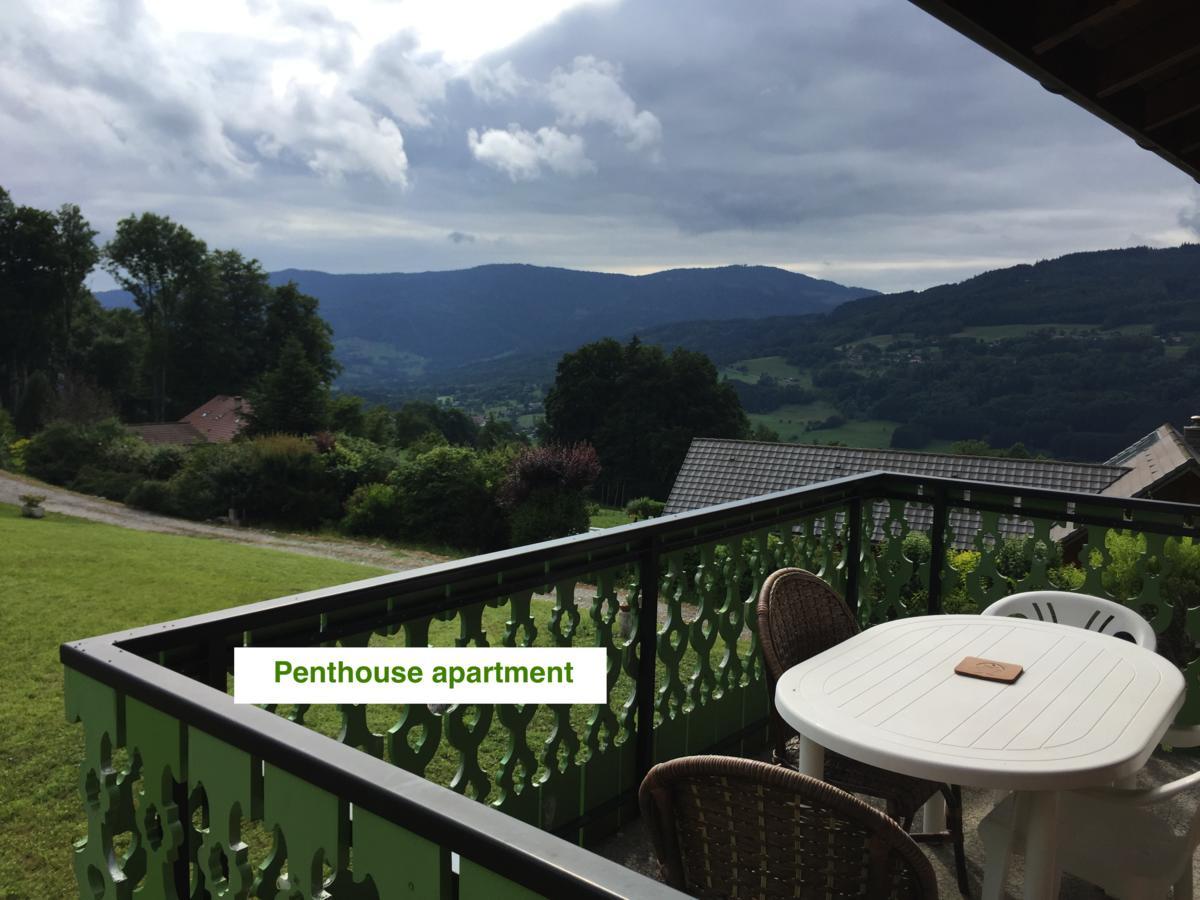 Le Green Chalet Villard-sur-Boege Екстер'єр фото