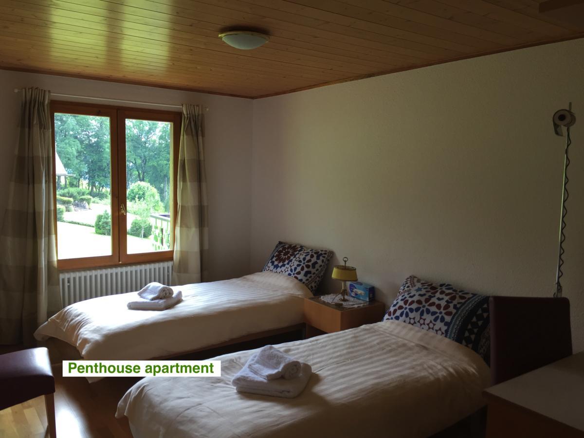 Le Green Chalet Villard-sur-Boege Екстер'єр фото