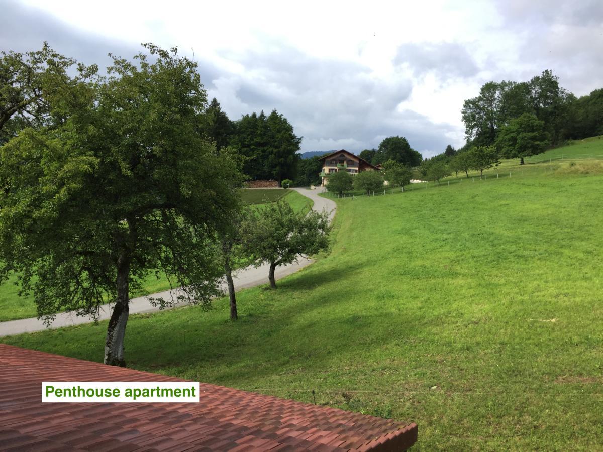 Le Green Chalet Villard-sur-Boege Екстер'єр фото