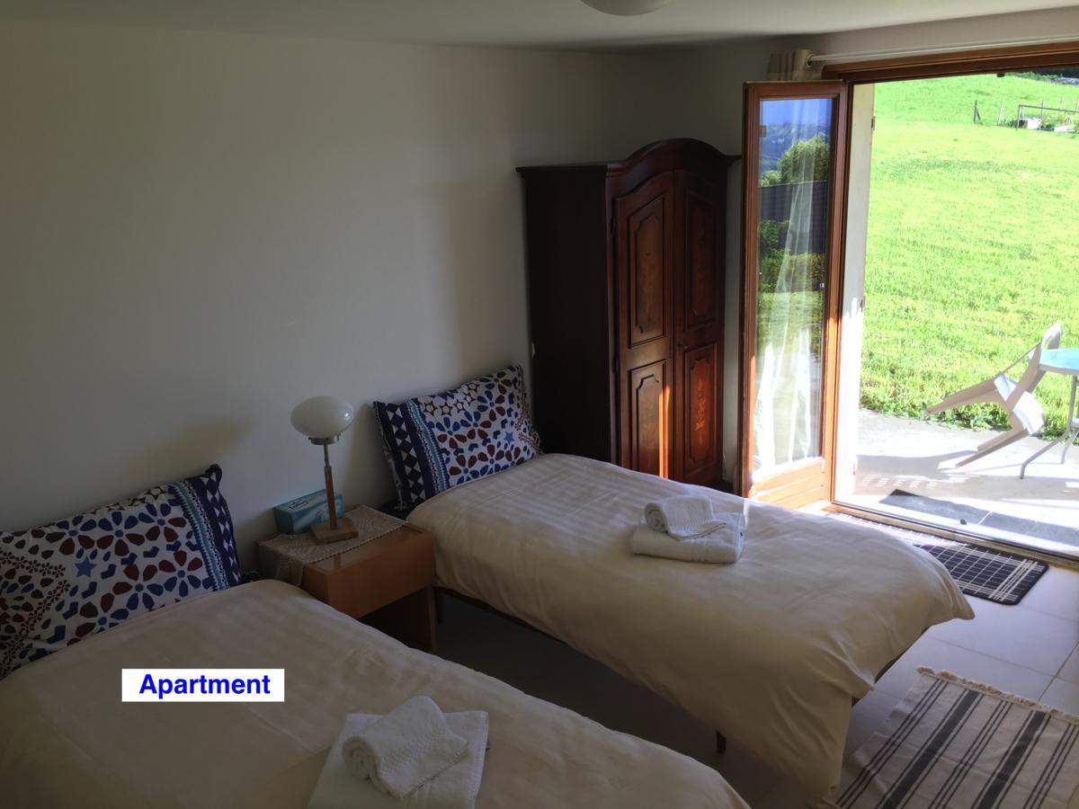 Le Green Chalet Villard-sur-Boege Екстер'єр фото