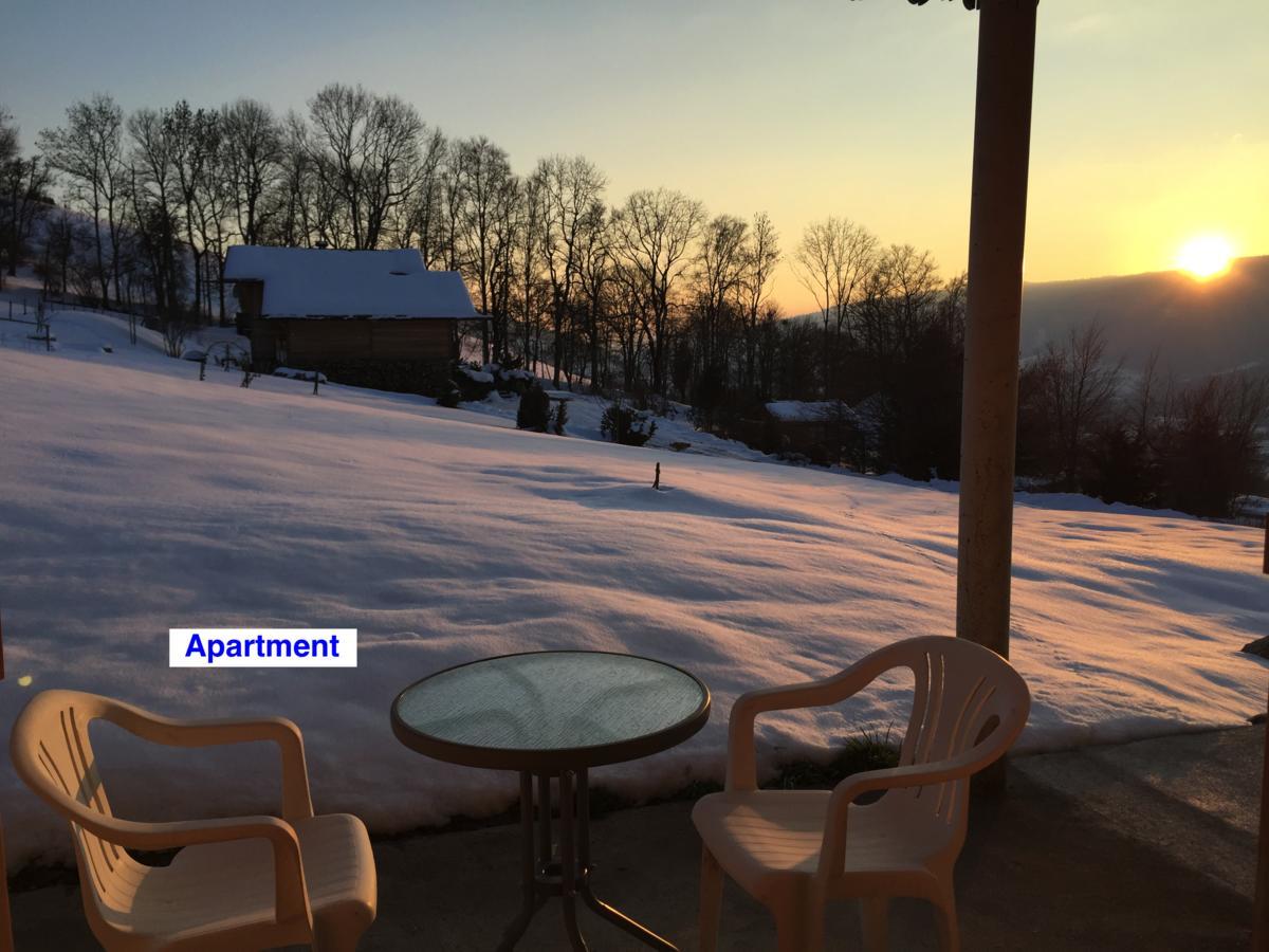 Le Green Chalet Villard-sur-Boege Екстер'єр фото